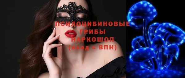 дживик Арсеньев