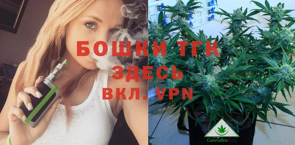 дживик Арсеньев