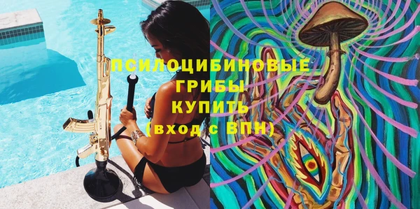 дживик Арсеньев